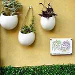 Casa Dolce Sonia Catania