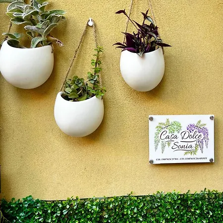Casa Dolce Sonia Catania